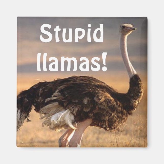 Aimant Stupides lamas ! (Devant)