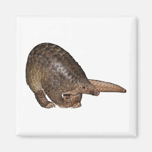 Aimant Sunda Pangolin (Devant)