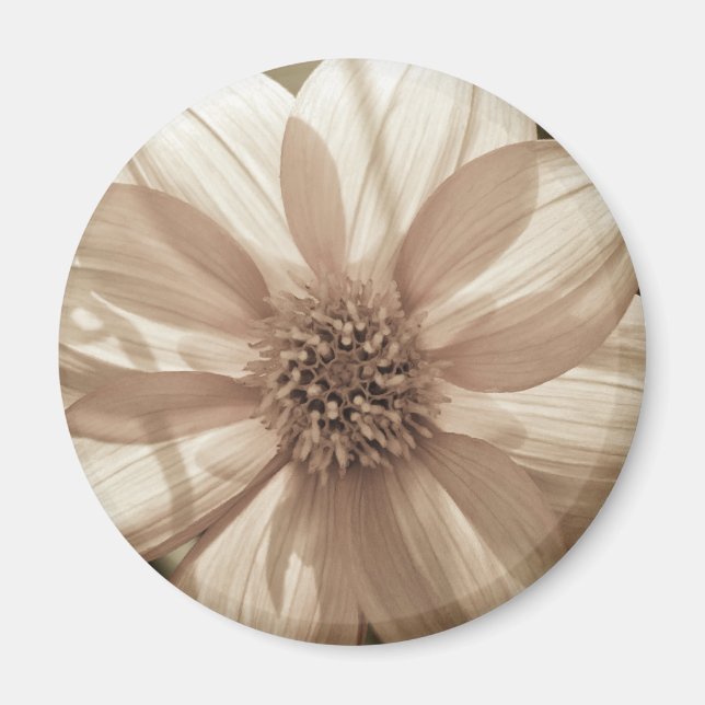 Aimant Sunny Dahlia (Devant)