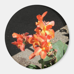 Aimant Sunshine Love...