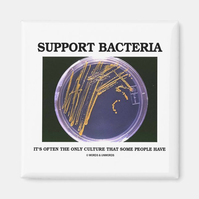 Aimant Support Bacteria (Devant)