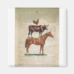 Aimant Support C1.tif de la ferme NOB12