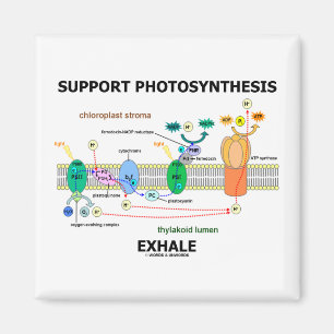 Aimant Support Photosynthèse Exhale (Humour de biochimie)