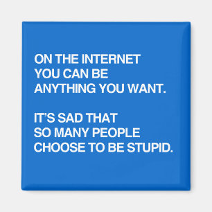 AIMANT SUR INTERNET VOUS POUVEZ ÊTRE TOUT CE QUE VOUS VOU