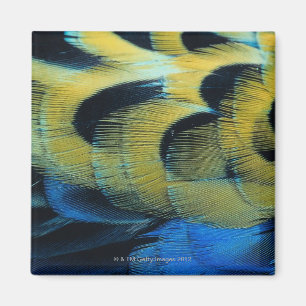 Aimant Surface 4 de plume