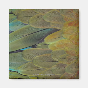 Aimant Surface de plume