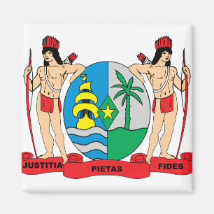Aimant Suriname Détail des armoiries