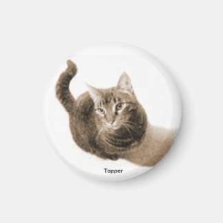Aimant Surmonter l'aimant de chat