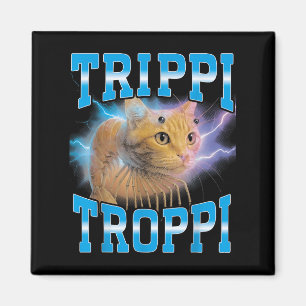 Aimant Surreal Italian Brainrot meme Trippi Troppi Cat Fu