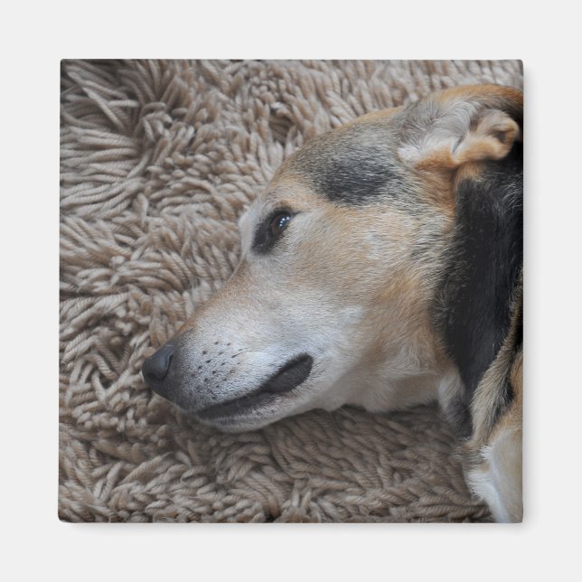 Aimant Surveiller chaque mouvement (Devant)