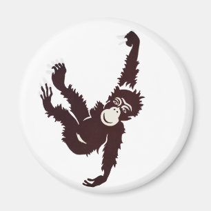 Aimant Suspendre le singe