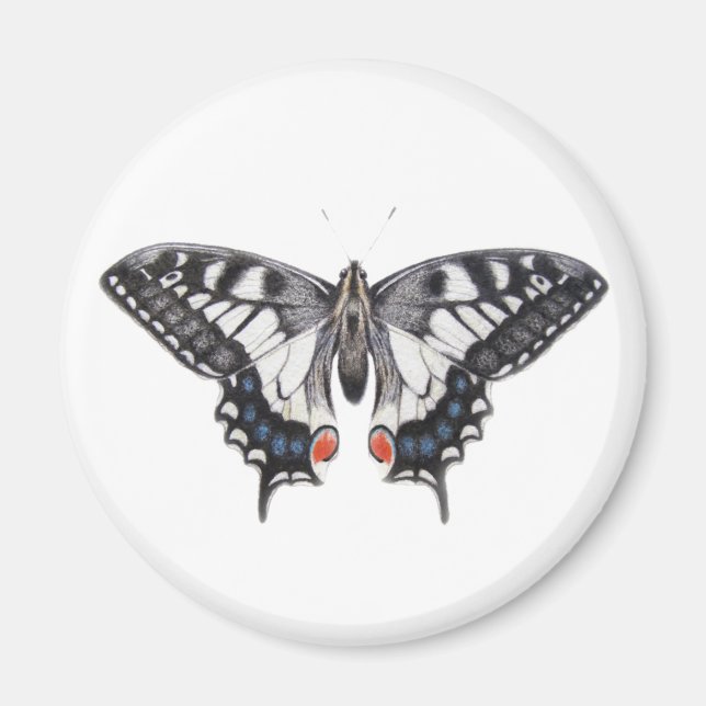Aimant Swallowtail 2012 (Devant)