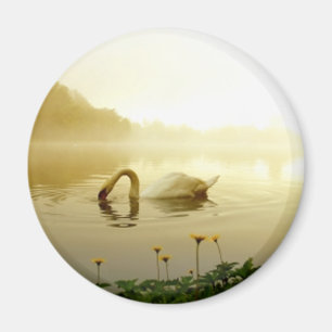 Aimant Swan