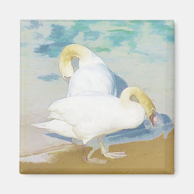 AIMANT SWANS (Devant)