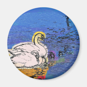 AIMANT SWANS