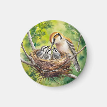 Sweet bird nest painting