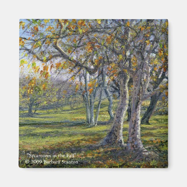 Aimant Sycamores à l'automne (Devant)