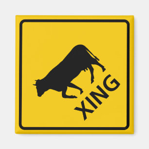 AIMANT SYMBOLE DE LA ROUTE-PASSAGE
