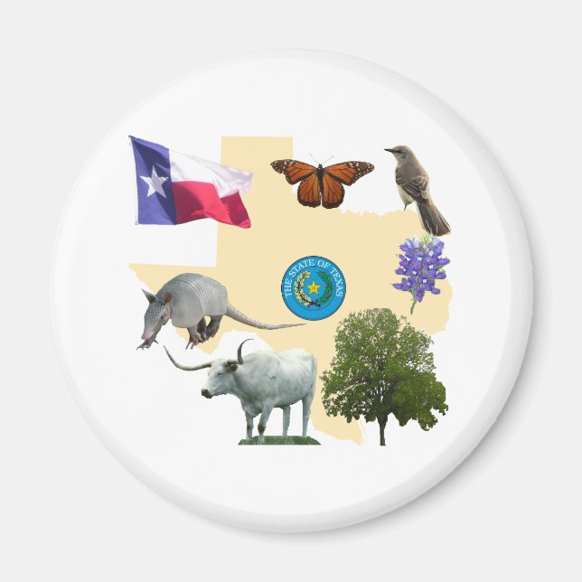 Aimant Symboles d'état du Texas (Devant)