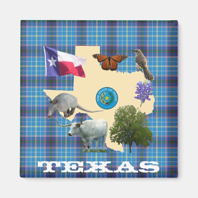 Aimant Symboles d'état du Texas (Devant)