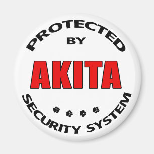 Aimant Système de sécurité Akita