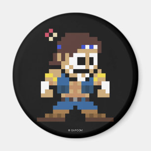 Aimant T. Hawk à 8 bits