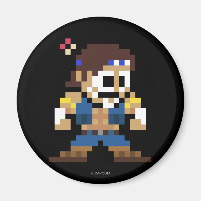 Aimant T. Hawk à 8 bits (Devant)