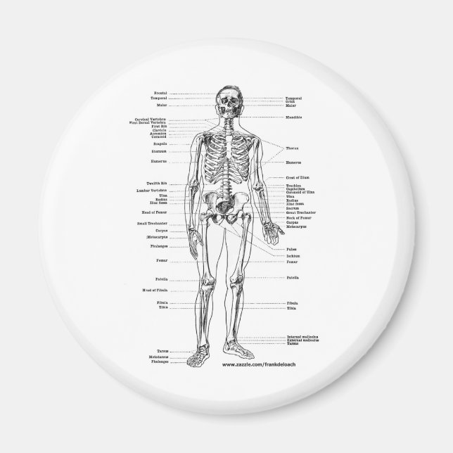 AIMANT T-SHIRTS ET CADEAUX ANATOMY SKELETON (Devant)