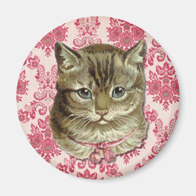 Aimant Tabby (Devant)