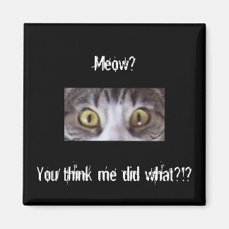 Aimant Tabby grand oeil