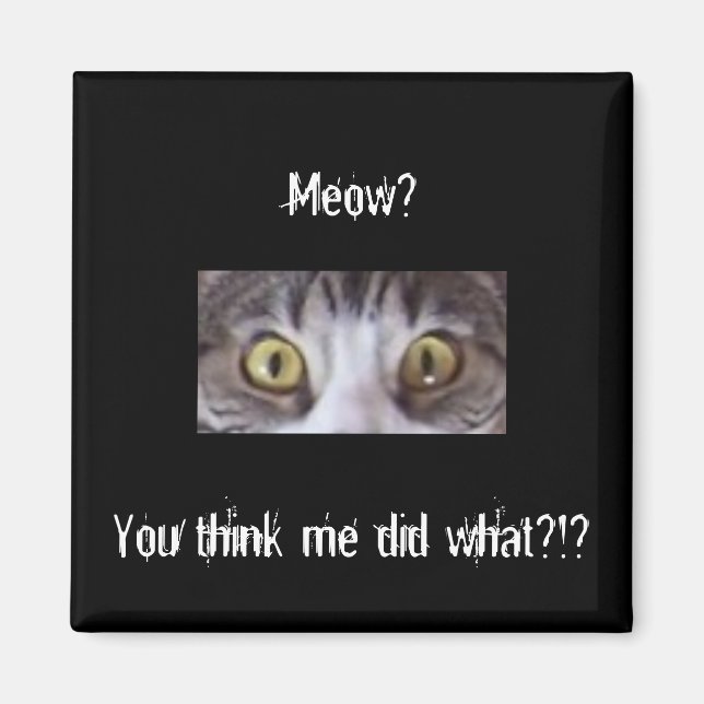 Aimant Tabby grand oeil (Devant)