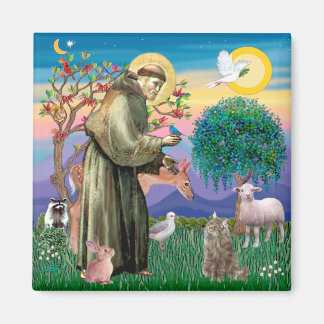 Aimant Tabby Norwegian Forest Cat - St Francis