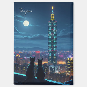 Aimant Taipei 101 chats la nuit