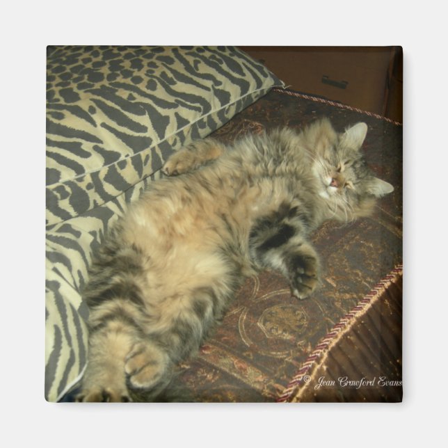 Aimant Tambour rhum (Devant)