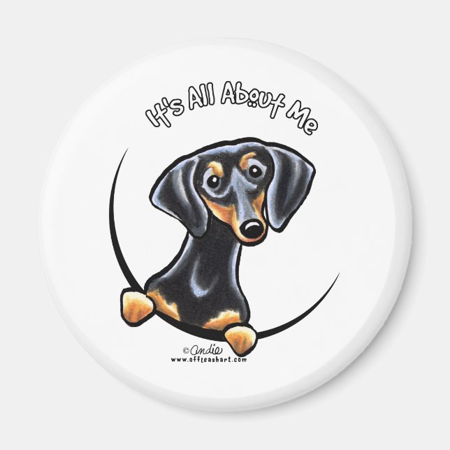 Aimant Tan Noir Dachshund C'Est Tout Sur Moi (Devant)