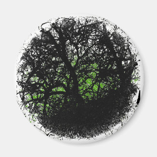 Aimant Tanglewood