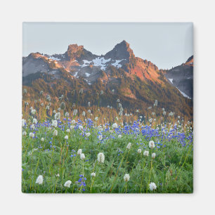 Aimant Tatoosh Range et fleurs sauvages   Mt. Rainier
