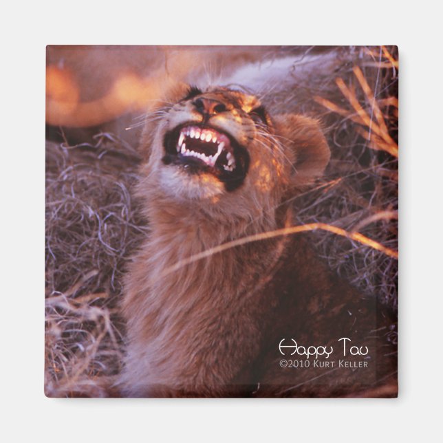 Aimant Tau heureux, jeune lion souriant (Devant)