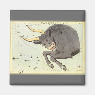 Aimant Taureau, Constellation Vintage Urania's Mirror