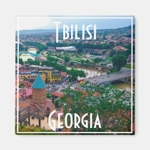 Aimant Tbilisi Georgia City View Architecture du paysage