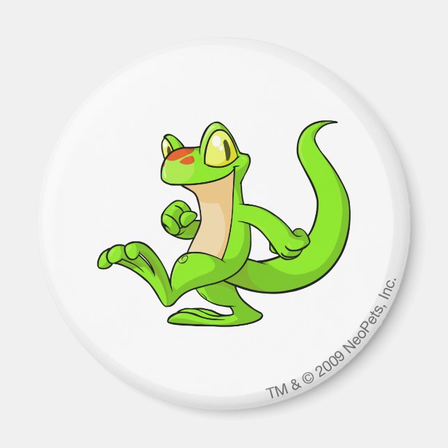 Aimant Techo Green (Devant)