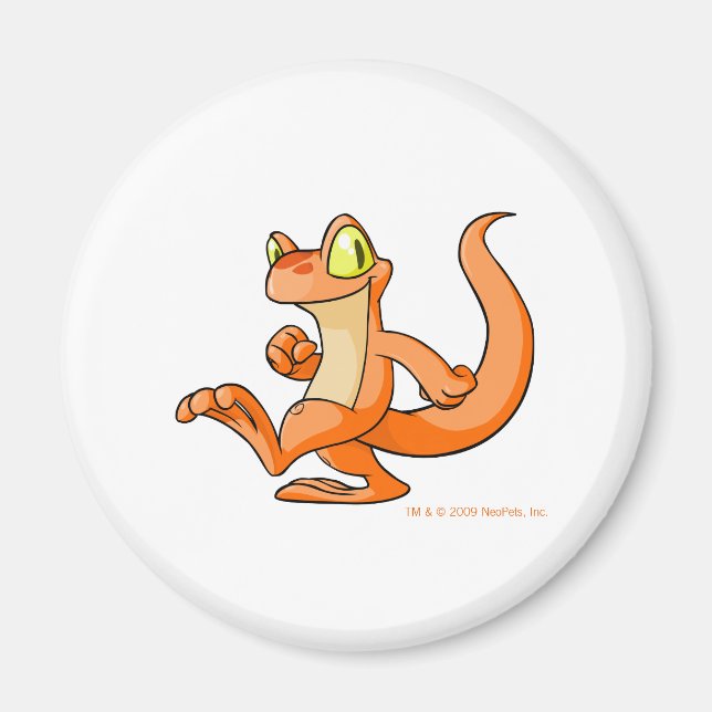 Aimant Techo orange en quête (Devant)