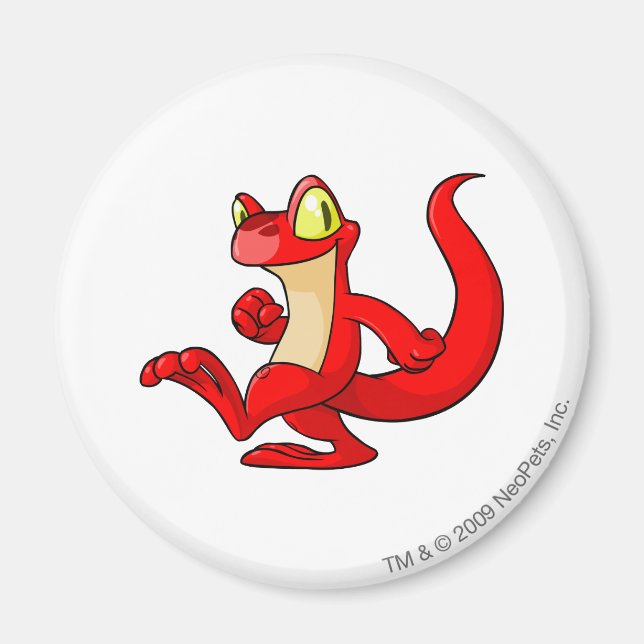 Aimant Techo rouge (Devant)