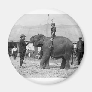 Aimant Teddy Roosevelt au cirque : 1924