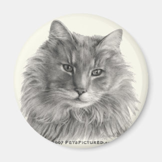 Aimant TeeGee, Chat Gris à Long Haired