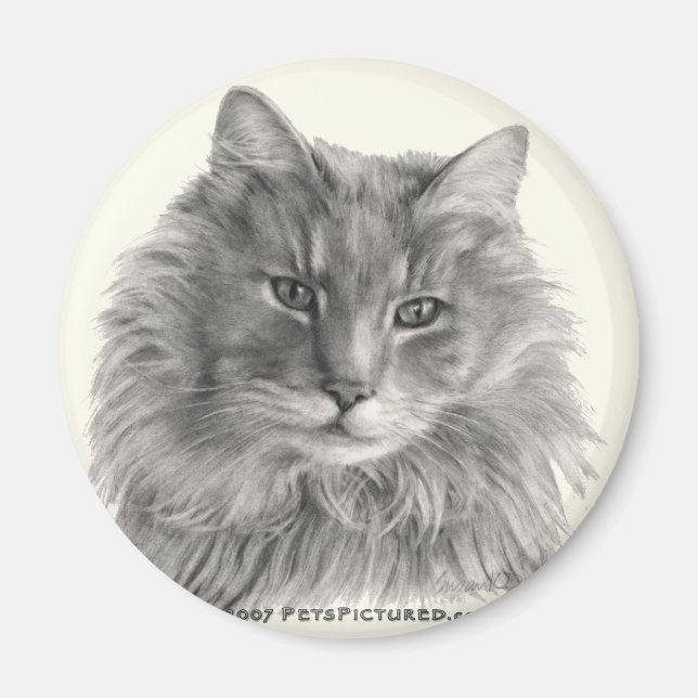 Aimant TeeGee, Chat Gris à Long Haired (Devant)