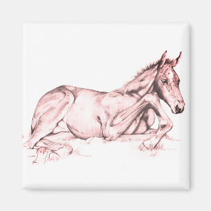 Aimant Temps calme (saumon)