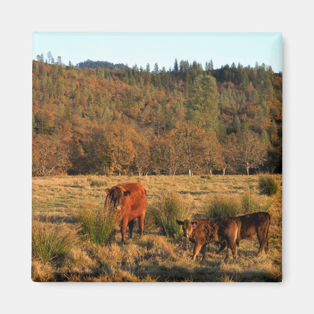 Aimant Temps famille....... (Devant)