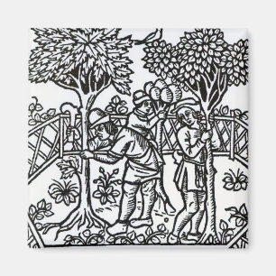 Aimant Tendre des vignes