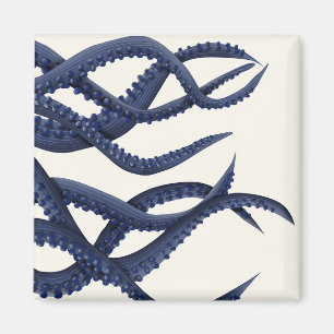 Aimant Tentacles géants de pieuvre